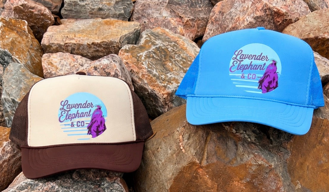 Lavender Elephant & Co