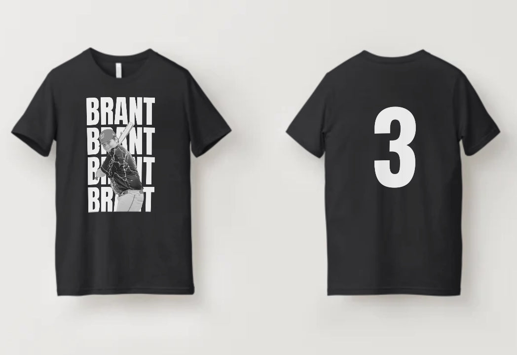 Brant 3