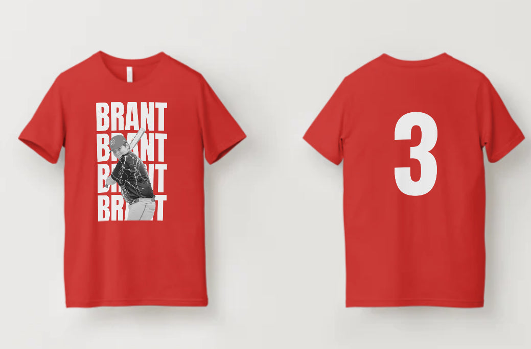 Brant 3